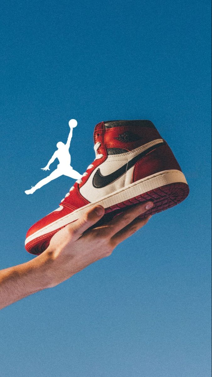 jordan-fly